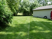 Lawn 1