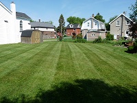 Lawn 1