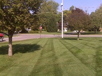 Lawn 1